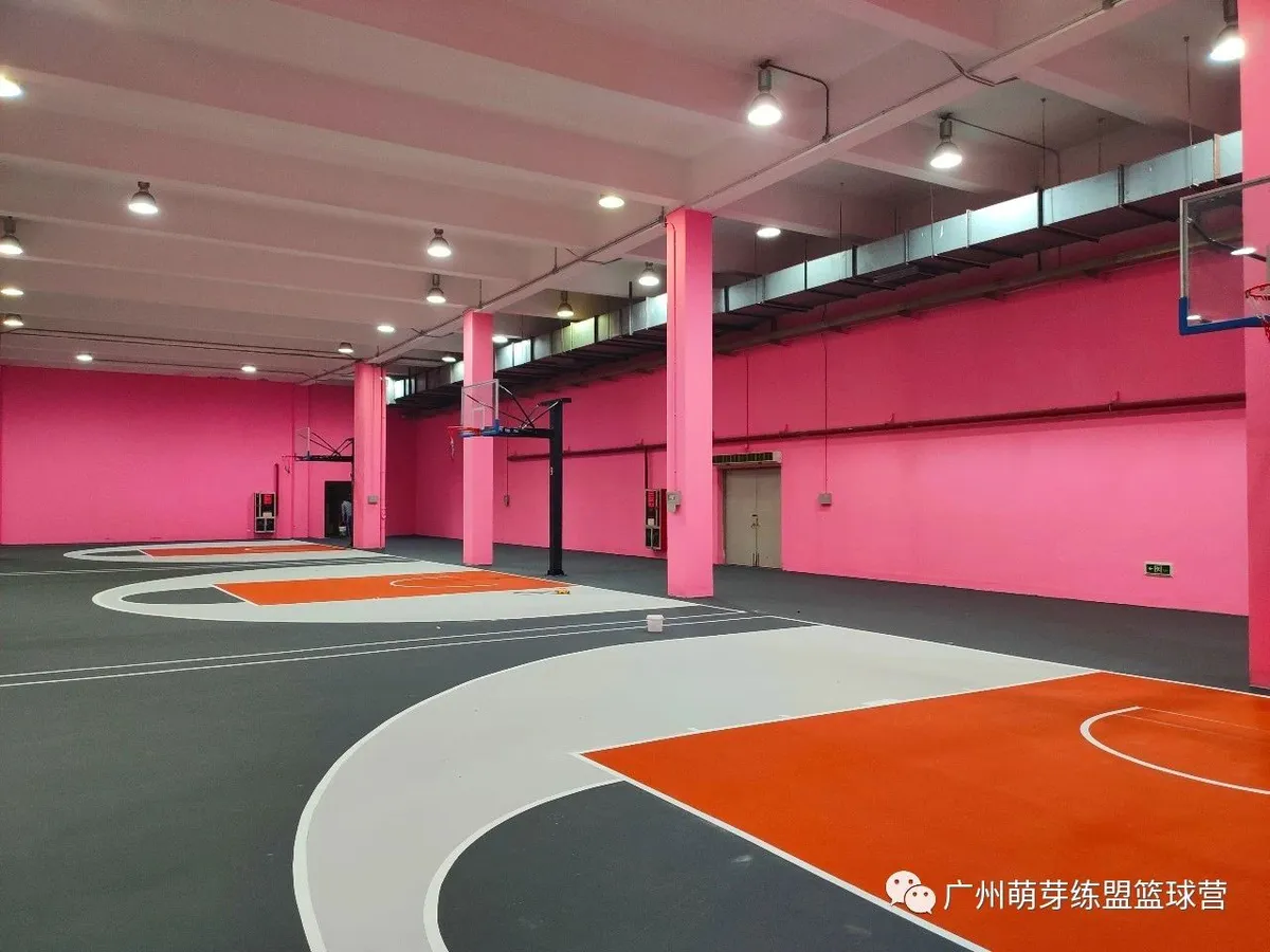 篮球小学生基本功训练教学反思怎么写_0